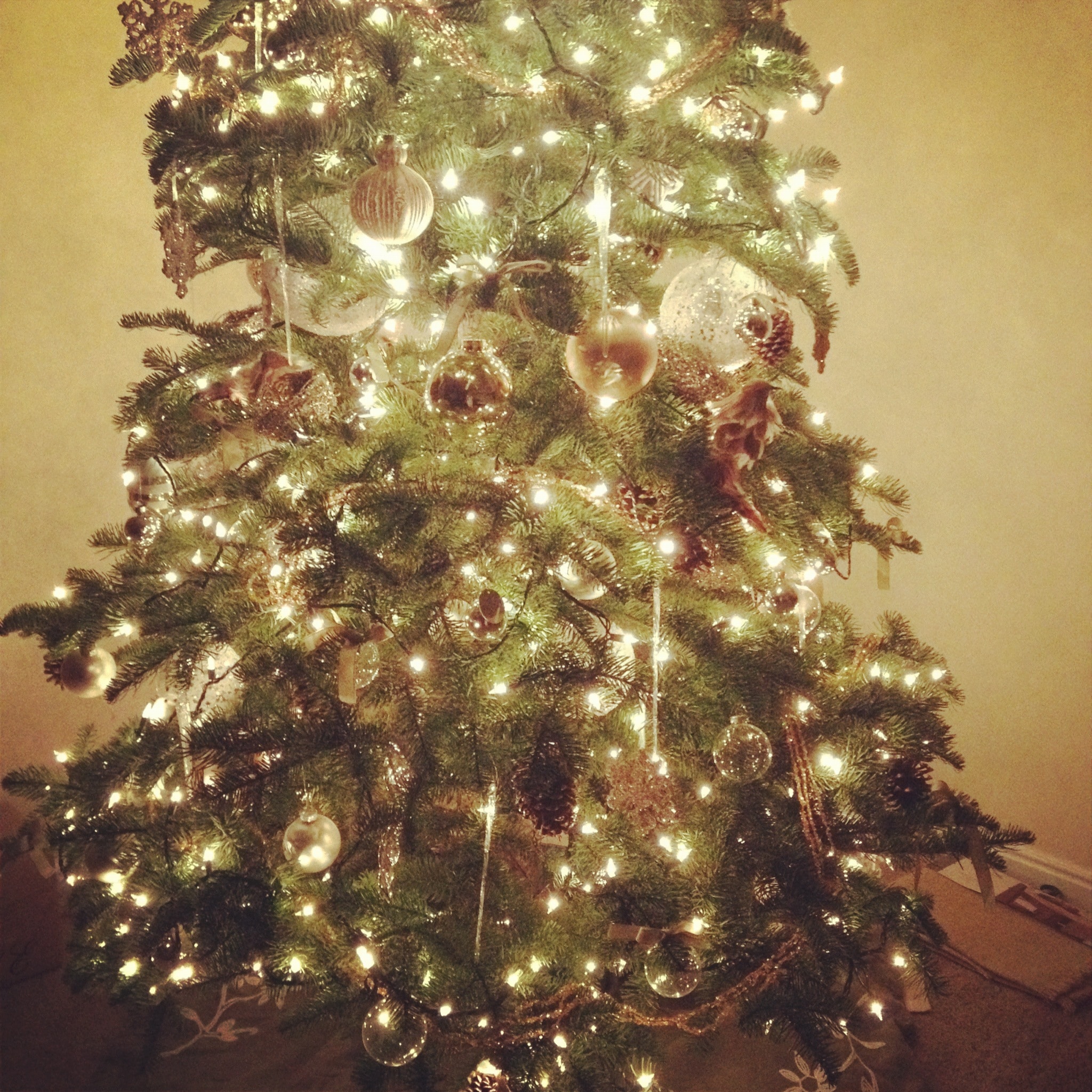 10 Tips to a Beautiful Christmas Tree Raising Lemons