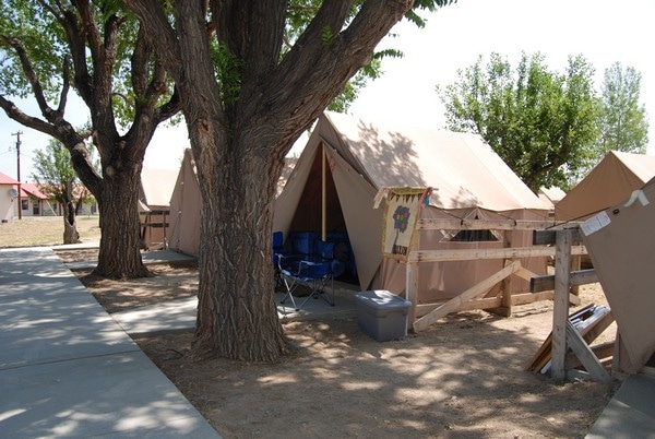 tent in shade1 1