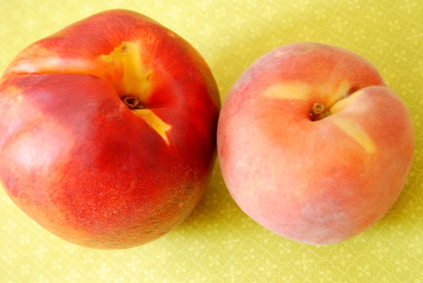 nectarine 1