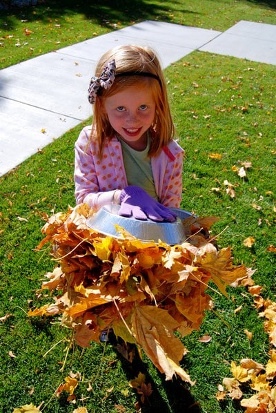 croft leaves 1