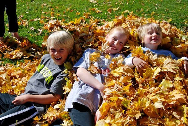 lounging in the leaves 2